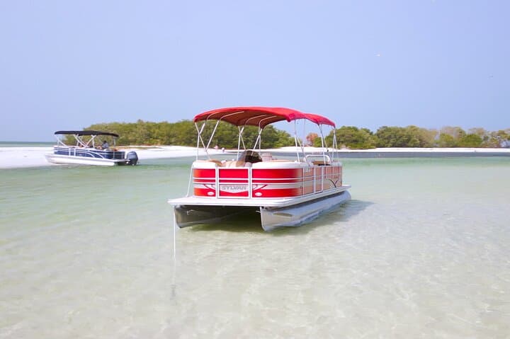 Private Barrier Island Boat Tours: Shell Key Cruises from St. Petersburg photo 2