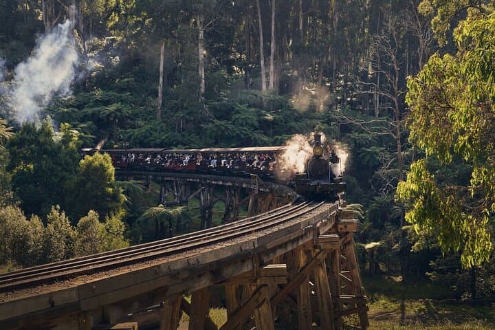 Unveiling Melbourne's Scenic Treasures: A Day with Puffing Billy, Wildlife, and Yarra Valley Wines