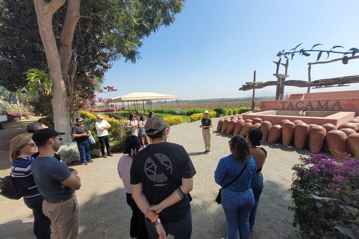 Ica Pisco Tasting and Huacachina Dune Buggy Sandboarding Tour photo 3