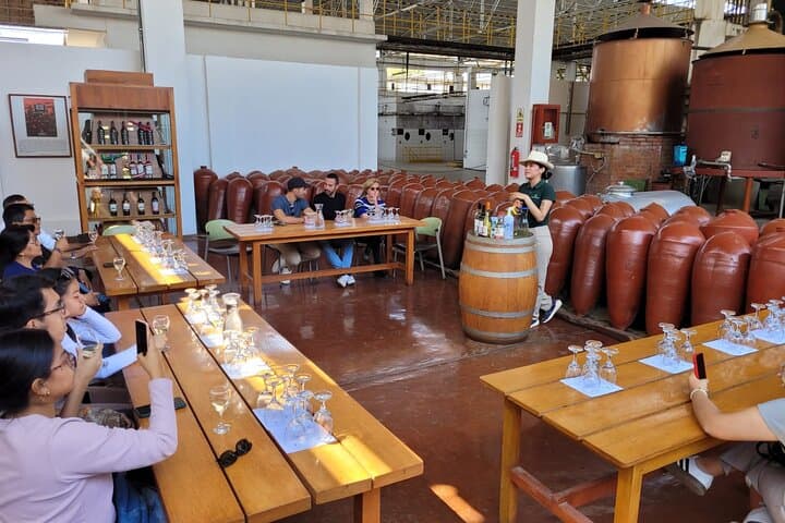 Ica Pisco Tasting and Huacachina Dune Buggy Sandboarding Tour photo 4