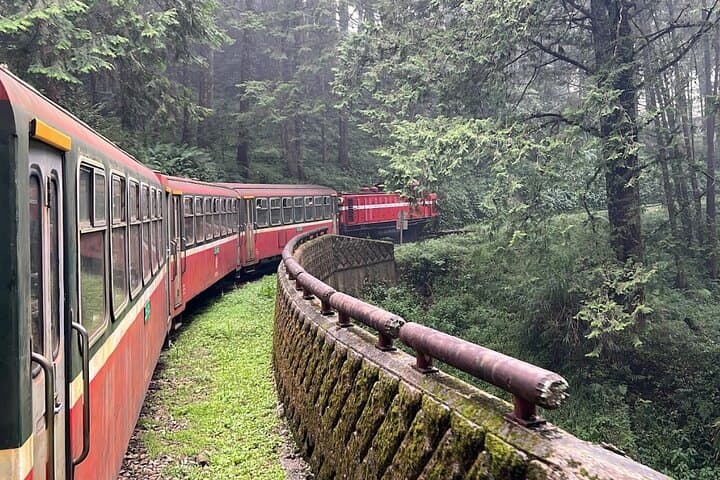 Alishan Day Tour from Chiayi — Ancient Trees, Forest Trails & Sea of Clouds photo 4