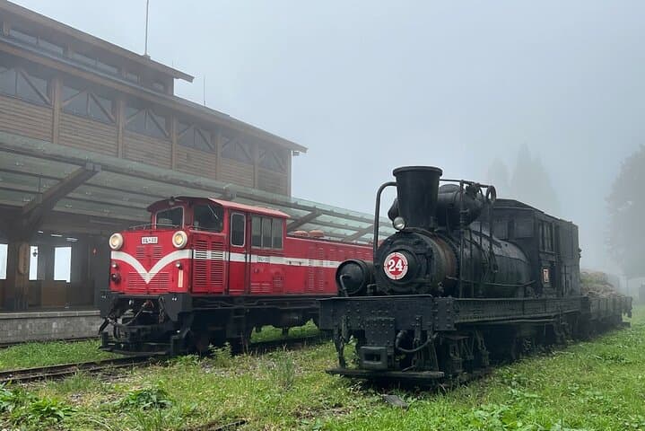 Alishan Day Tour from Chiayi — Ancient Trees, Forest Trails & Sea of Clouds photo 3