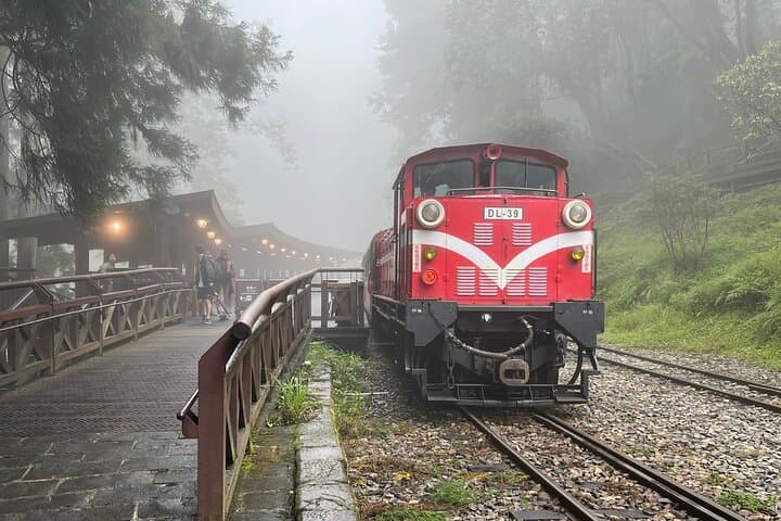 Alishan Day Tour from Chiayi — Ancient Trees, Forest Trails & Sea of Clouds