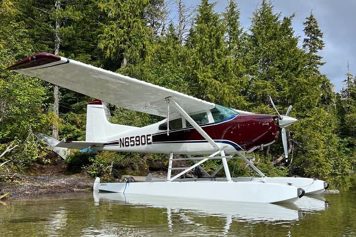 Sitka Sound Private Seaplane Tour: 60-Minute Flightseeing Over Baranof Island
