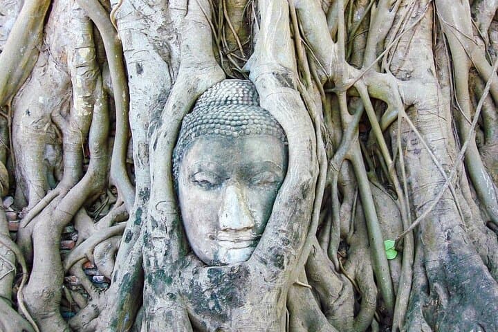 8-Day Private Thailand Tour: Bangkok, Ayutthaya, Chiang Mai, Chiang Rai & Mekong Cruise photo 6