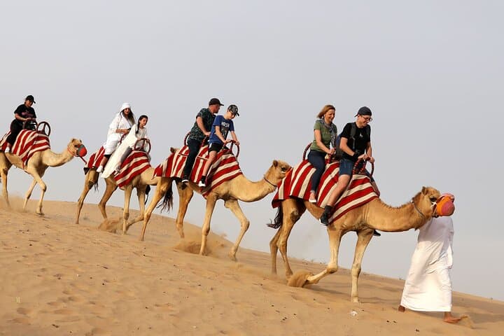 Dubai City Tour and Desert Safari Combo — Full-Day City Sights and Dune Adventure photo 2