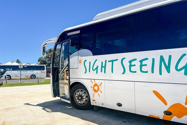Great Ocean Road & 12 Apostles: Full-Day Scenic Tour from Melbourne photo 5