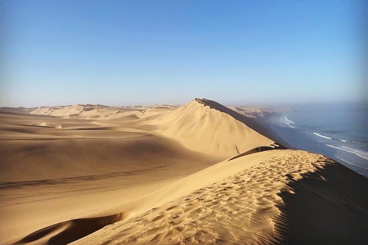 Sandwich Harbour & Pelican Point Combo: Walvis Bay Cruise and 4x4 Desert Tour photo 4