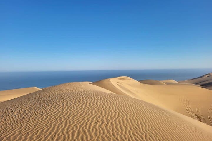 Sandwich Harbour & Pelican Point Combo: Walvis Bay Cruise and 4x4 Desert Tour photo 6