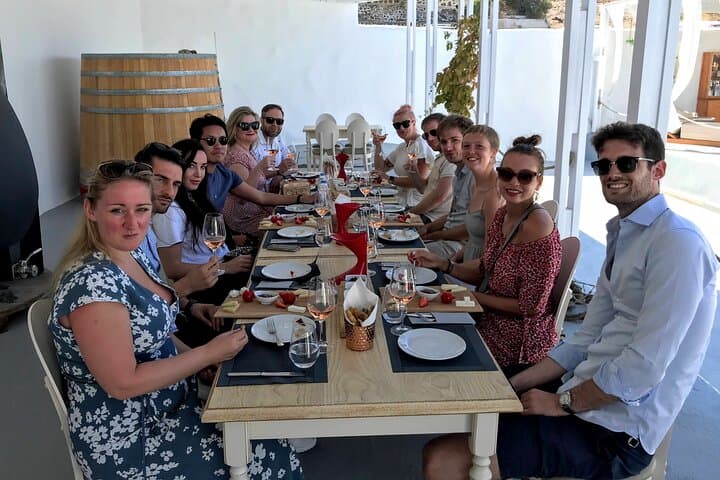 Santorini Wine Tasting Small-Group Tour: Vineyards, Volcanic Soils & Assyrtiko photo 4