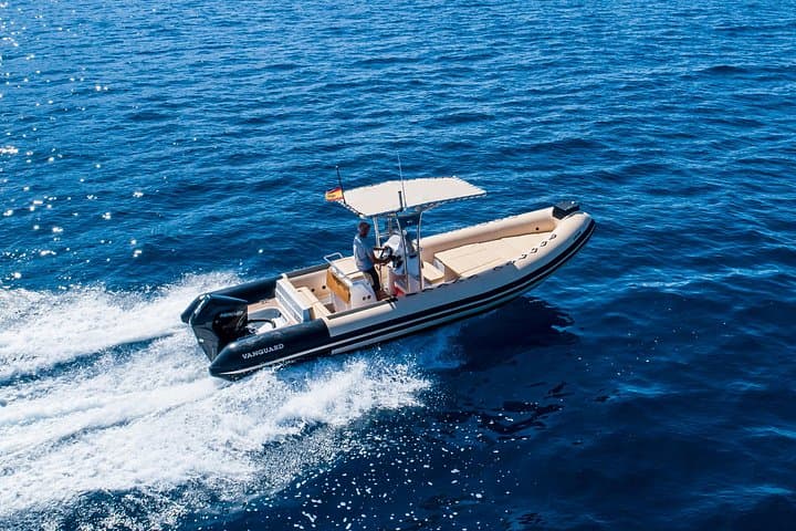 Palma Private RIB Boat Charter: Cove-Hopping & Snorkeling from Club de Mar photo 1
