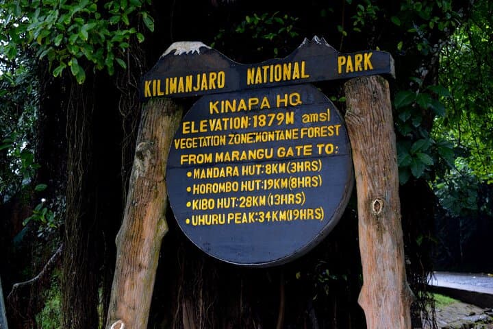 Day Hike to Mandara Huts on Kilimanjaro’s Marangu Route: Forest Trails & Waterfalls photo 2