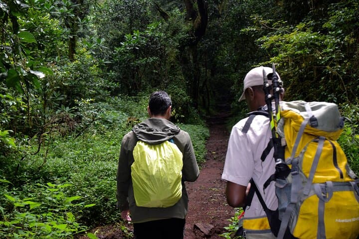 Day Hike to Mandara Huts on Kilimanjaro’s Marangu Route: Forest Trails & Waterfalls photo 3
