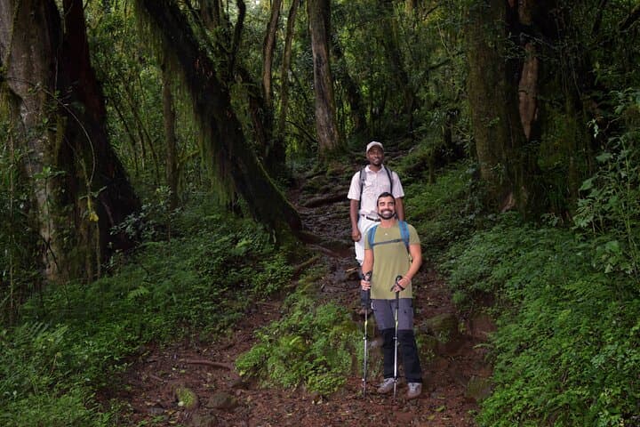 Day Hike to Mandara Huts on Kilimanjaro’s Marangu Route: Forest Trails & Waterfalls photo 5