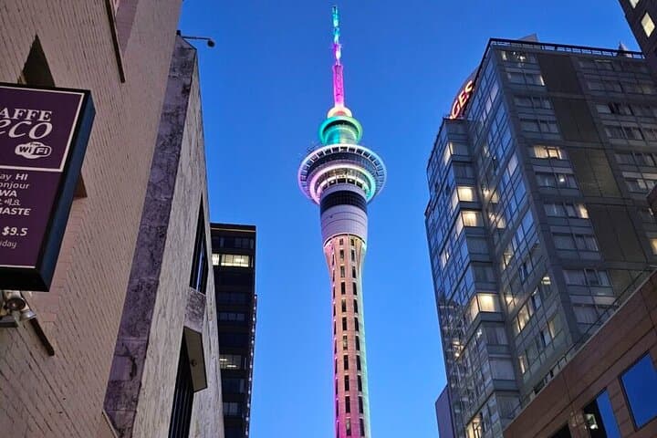 Auckland City Highlights Private Tour — 4-Hour Best of Auckland Morning Experience