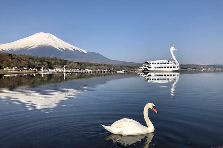 Mt Fuji Lawson & Iconic Lakes Day Trip from Tokyo — Kawaguchiko, Ice Caves & Lake Yamanaka photo 3