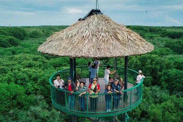 Can Gio Mangrove Tour: Private Vam Sat Eco Reserve Discovery from Ho Chi Minh City