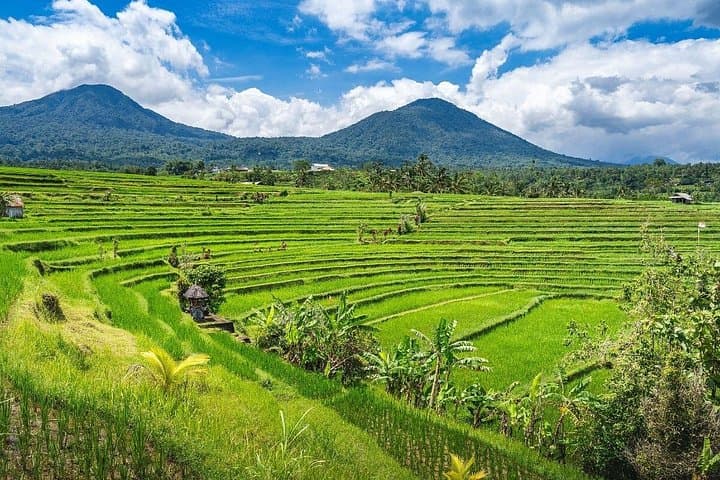 North Bali Day Tour: Ulun Danu, Jatiluwih Rice Terraces & Banyumala Waterfall photo 2