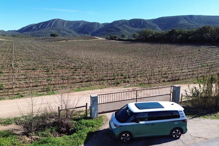 Electric Combi Day Trip to Arrábida & Setúbal: Markets, Views, and Wine photo 6