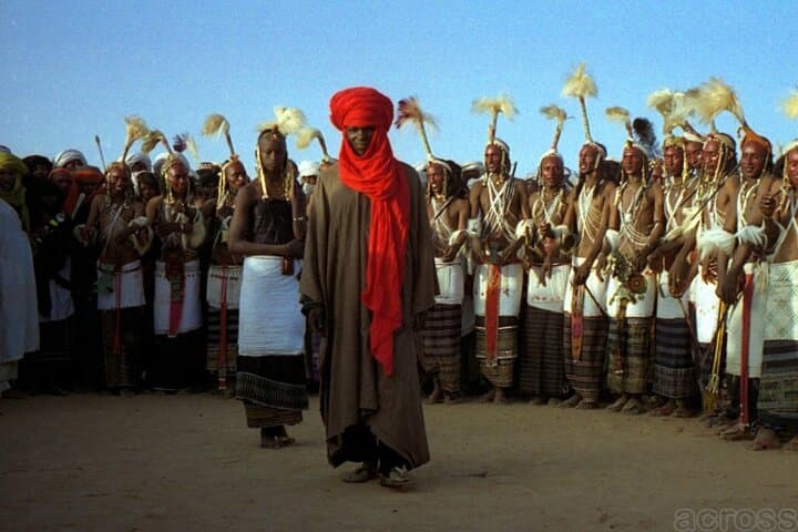 5-Day Niamey Cultural & Kouré Giraffe Safari photo 4