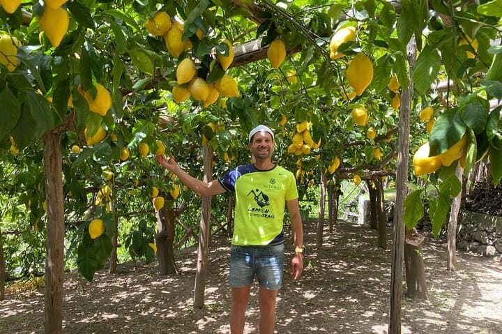 Amalfi Coast Lemon Trail Tour: Lemon Grove Walk & Limoncello Tasting