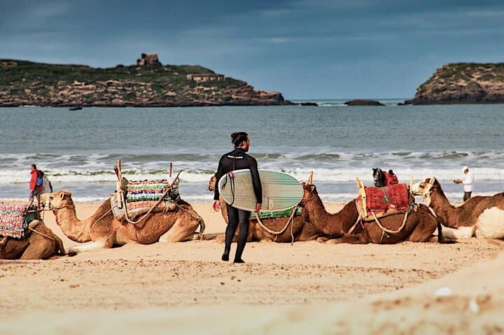 Essaouira Day Trip from Marrakech: Skala Citadel, Fish Market & Atlantic Breeze photo 2