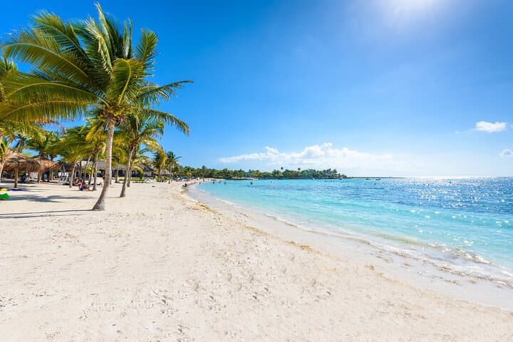 Akumal Turtle and Reef Sanctuary Snorkeling — Swim with Turtles in Akumal Bay photo 6
