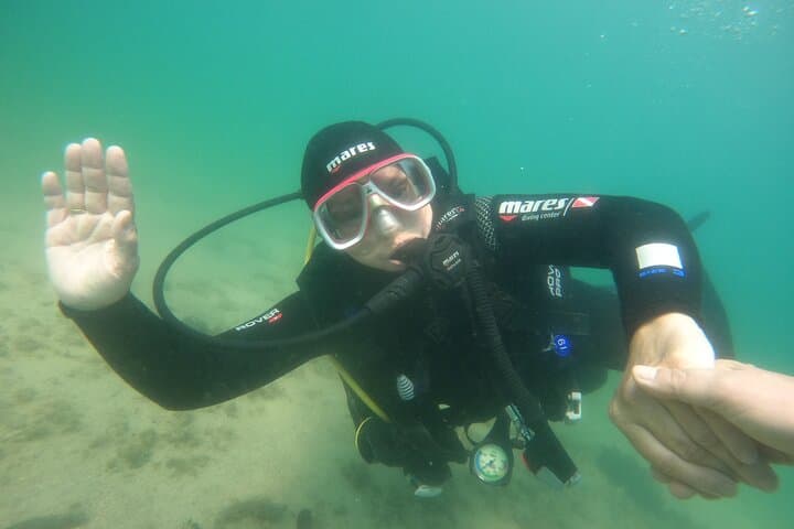 Try Scuba Diving in Rovinj — Introductory Adriatic Dive in a Calm Bay photo 2