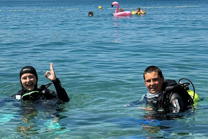 Try Scuba Diving in Rovinj — Introductory Adriatic Dive in a Calm Bay photo 4