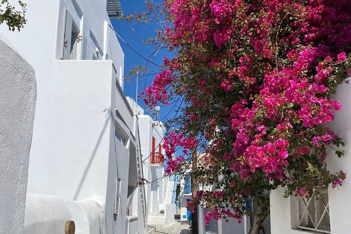 Private Mykonos Town Walking Tour and Island Highlights: Windmills, Beaches & Lighthouse Views photo 3