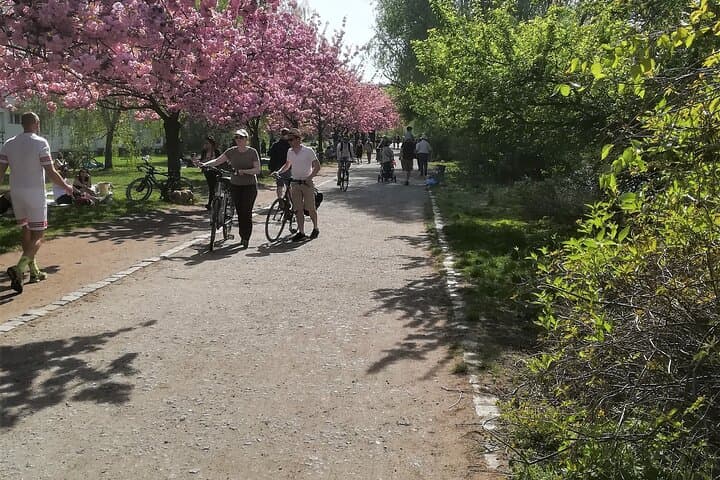 Berlin Private E‑Bike Tour: 4‑Hour Guided Ride Through Mitte photo 3