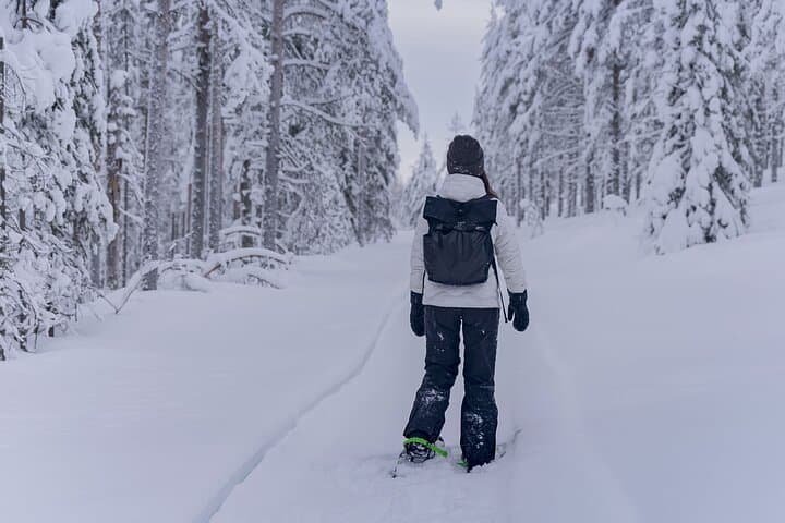 Lapland Winter Experience: Guided Snowshoe Hike from Rovaniemi photo 4