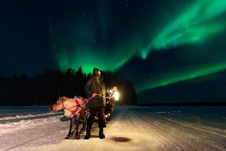 Reindeer Sleigh Aurora Hunt: Nighttime Lights and Sámi Stories in Rovaniemi photo 1
