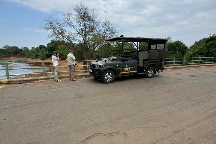 Full-Day Private Kruger Safari from Hoedspruit — Big Five & Panoramic Plains photo 4