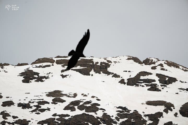 Embalse El Yeso & Hot Springs Day Trip from Santiago — Cajón del Maipo Adventure photo 5