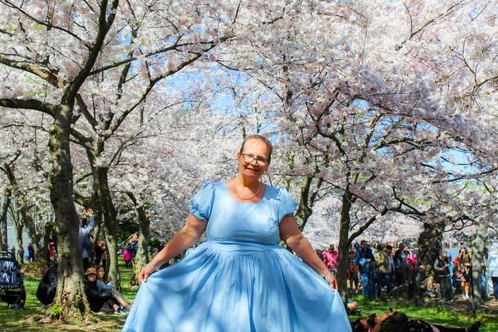 Washington DC Cherry Blossom Bus Tour and Tidal Basin Guided Walk photo 2