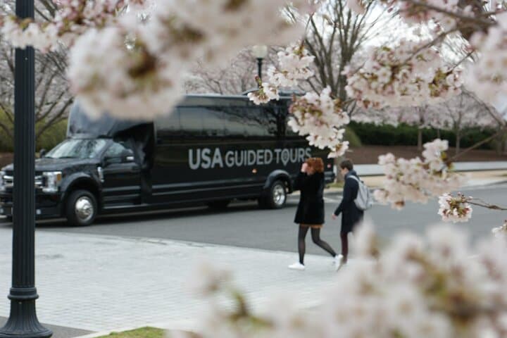 Washington DC Cherry Blossom Bus Tour and Tidal Basin Guided Walk