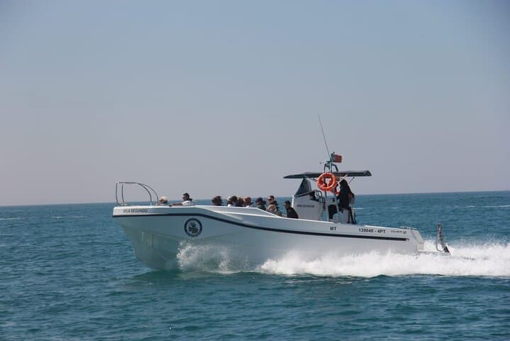 Benagil Caves & Wild Dolphin Boat Tour from Vilamoura photo 5