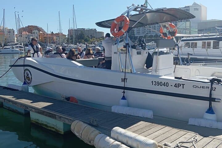 Vilamoura to Benagil Caves and Dolphin-Watching Cruise photo 2