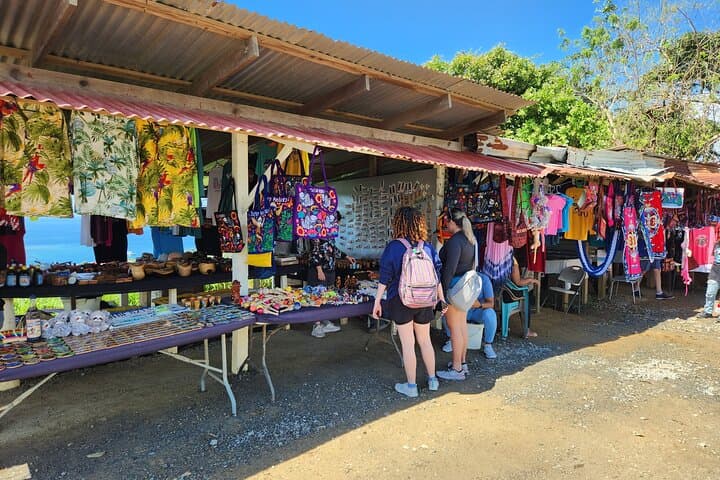 Roatán Island Eco Tour — Monkeys, Sloths & Local Flavors photo 5