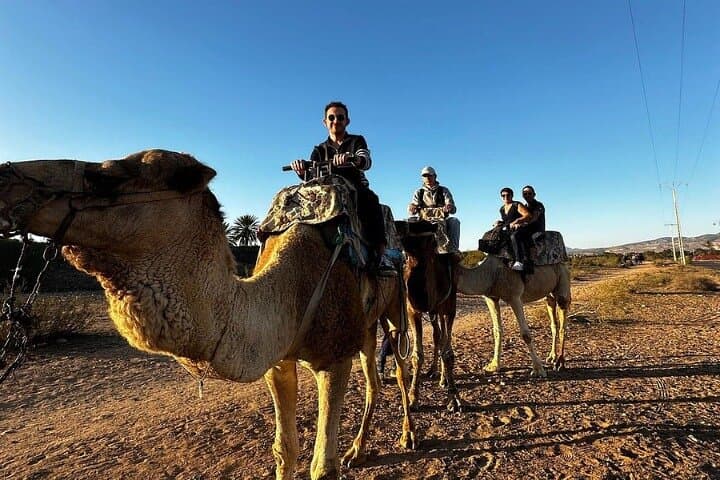 Agadir Camel Ride on the Souss River with Mint Tea & Moroccan Pastries photo 3