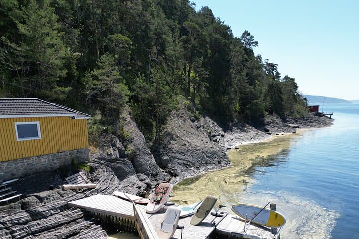 Paddle the Oslofjord: Stand-Up Paddleboard Rental with Safety Briefing photo 2