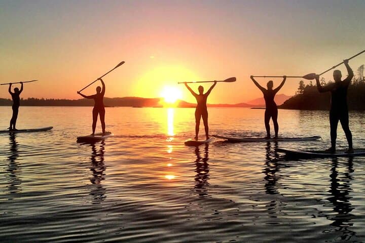Paddle the Oslofjord: Stand-Up Paddleboard Rental with Safety Briefing photo 4