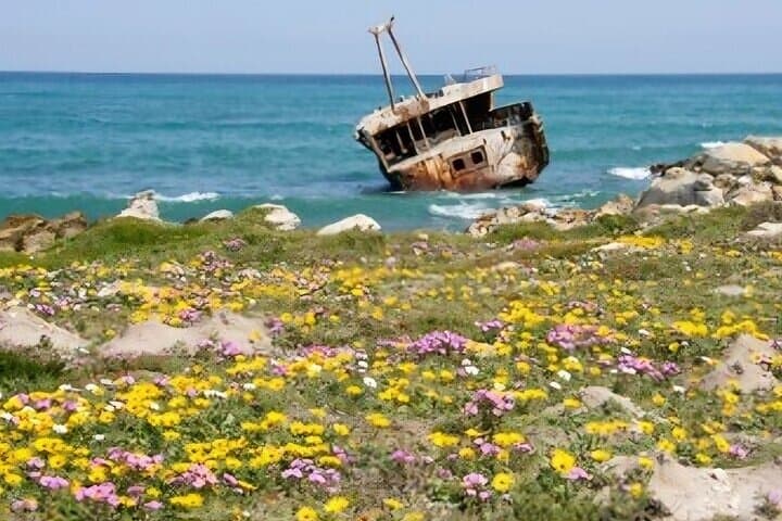Tip of Africa Tour: Cape Agulhas Lighthouse, Shipwreck Trail & Hermanus Day Trip photo 5