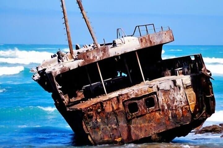 Tip of Africa Tour: Cape Agulhas Lighthouse, Shipwreck Trail & Hermanus Day Trip photo 6