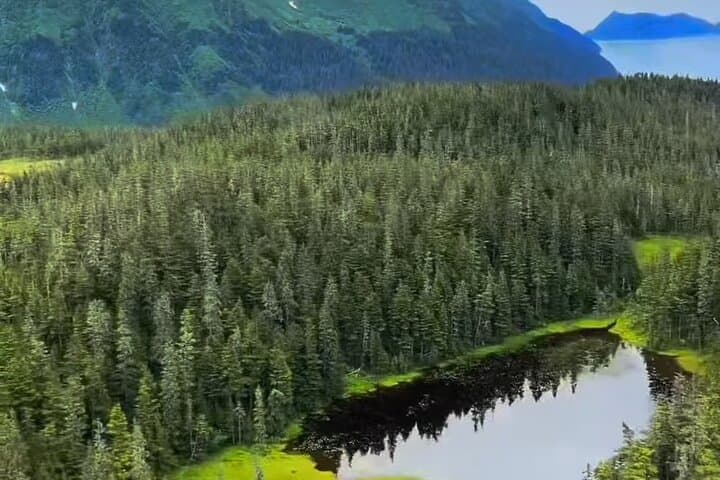 Seward Scenic Helicopter: 30-Min Flight Over Bear Glacier photo 3
