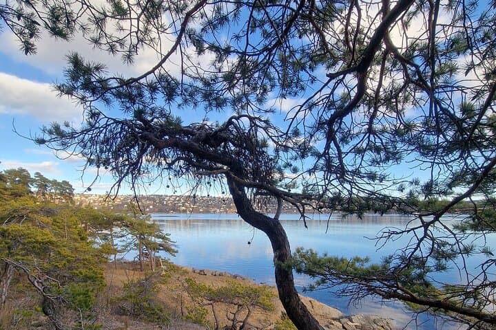 Malmøya Island Guided Hike: Oslo Fjord Waffles, Beaches & Forest Trails photo 5