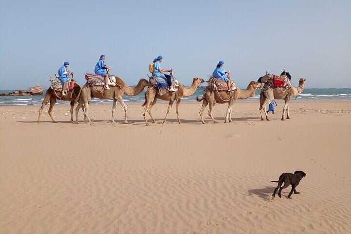 Day Trip to Essaouira from Marrakech — UNESCO Medina, Argan Groves & Atlantic Coast photo 3
