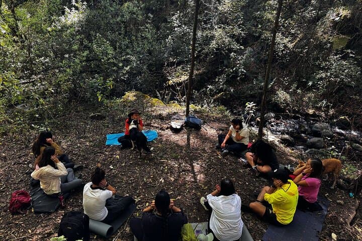 Forest Bathing at Capoxi Dam: Guided Shinrin-Yoku Near Mexico City