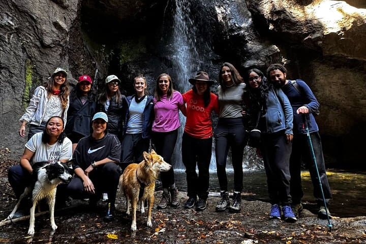Forest Bathing at Capoxi Dam: Guided Shinrin-Yoku Near Mexico City photo 2